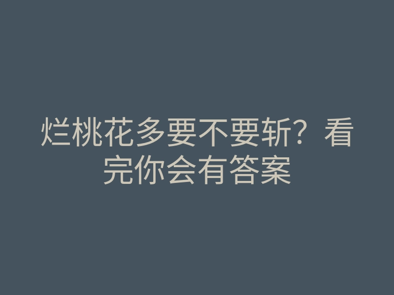 烂桃花多要不要斩?看完你会有答案