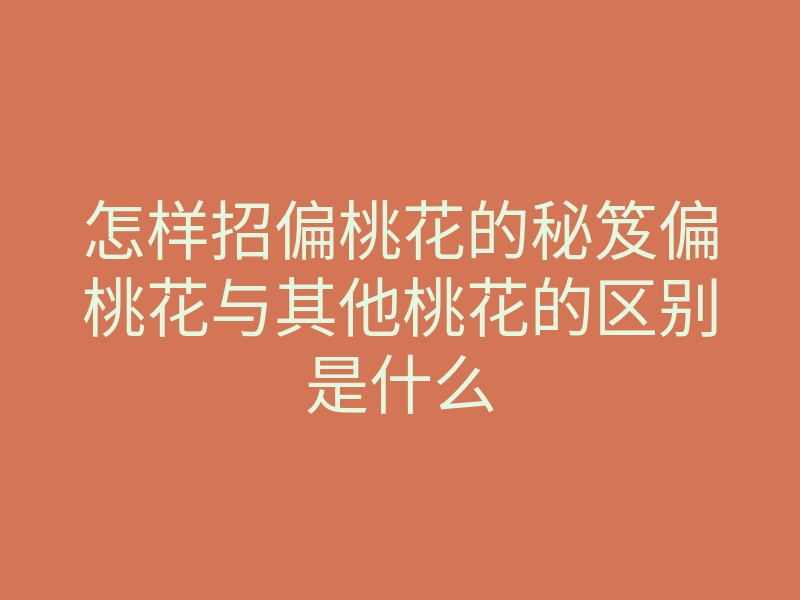 怎样招偏桃花的秘笈偏桃花与其他桃花的区别是什么