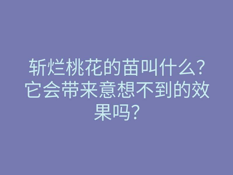 斩烂桃花的苗叫什么?它会带来意想不到的效果吗?