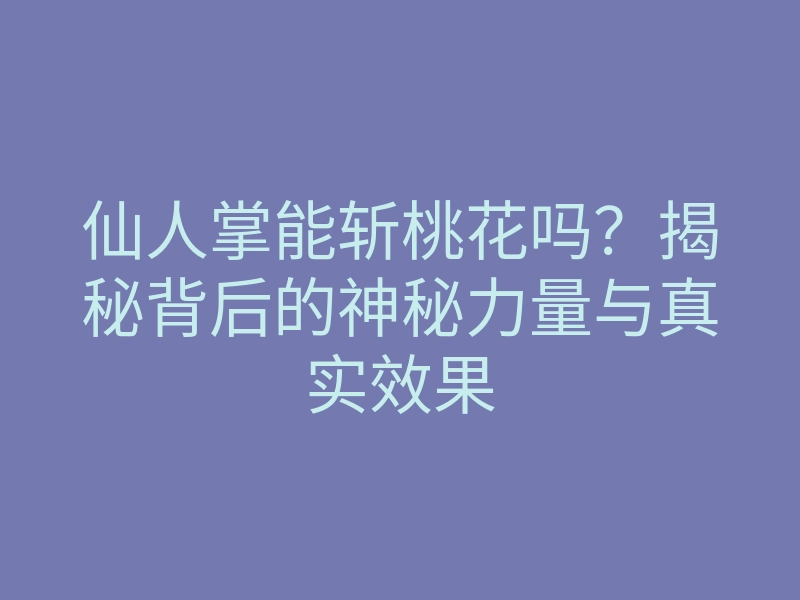 仙人掌能斩桃花吗?揭秘背后的神秘力量与真实效果
