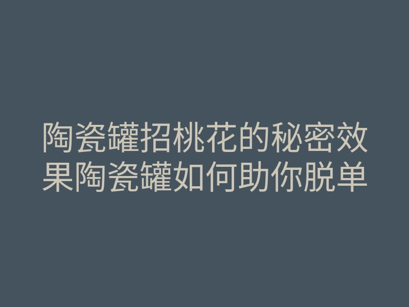 陶瓷罐招桃花的秘密效果陶瓷罐如何助你脱单