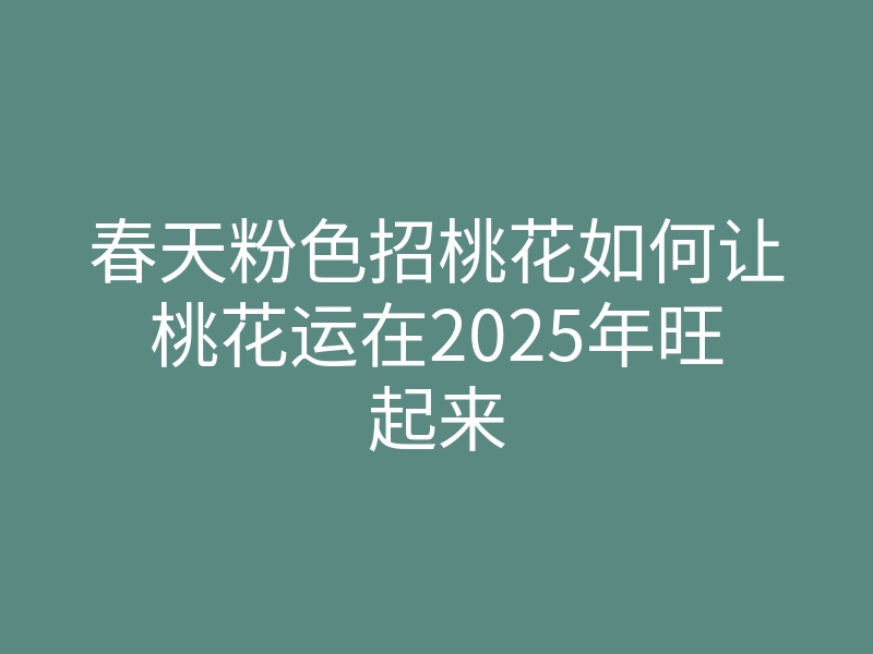 春天粉色招桃花如何让桃花运在2025年旺起来