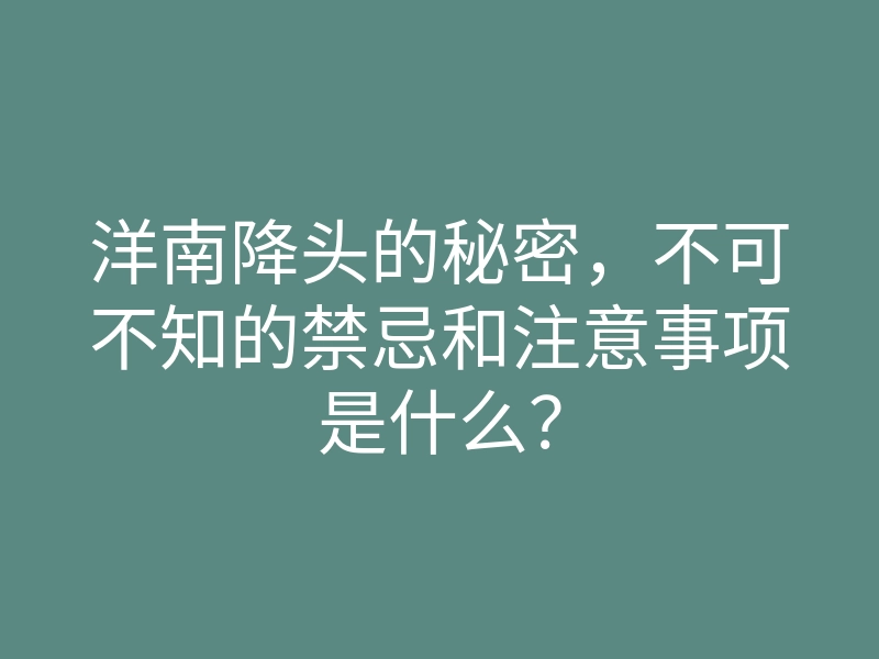 洋南降头的秘密,不可不知的禁忌和注意事项是什么?
