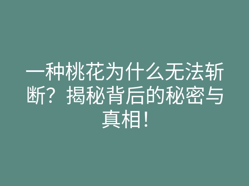 一种桃花为什么无法斩断？揭秘背后的秘密与真相！