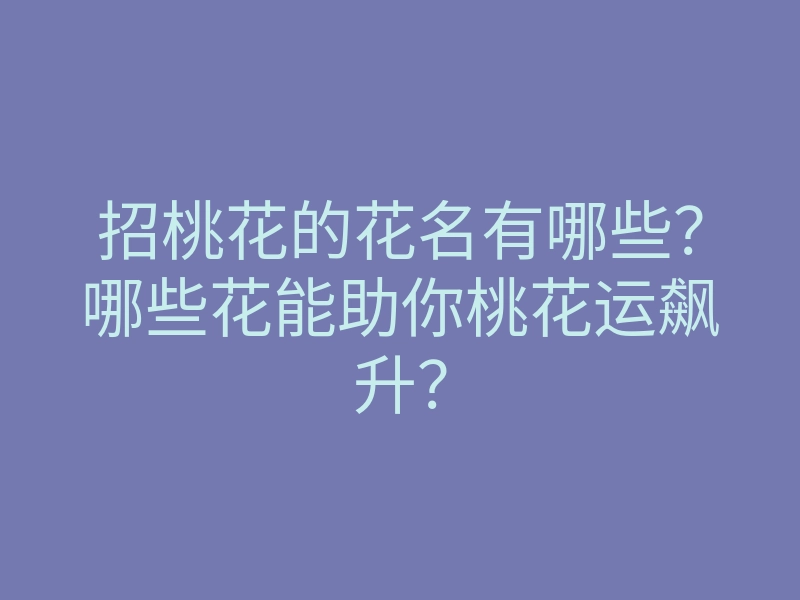 招桃花的花名有哪些?哪些花能助你桃花运飙升?