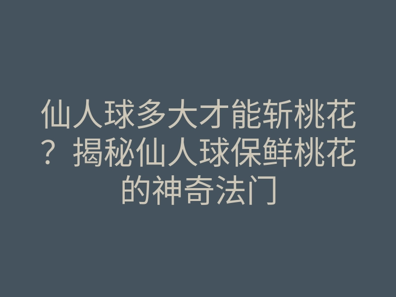 仙人球多大才能斩桃花?揭秘仙人球保鲜桃花的神奇法门