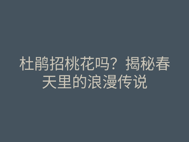杜鹃招桃花吗?揭秘春天里的浪漫传说