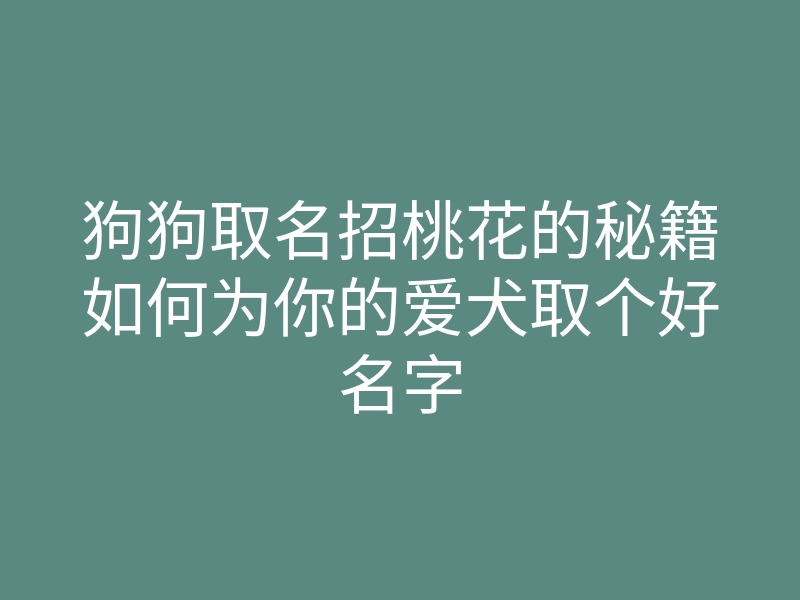 狗狗取名招桃花的秘籍如何为你的爱犬取个好名字