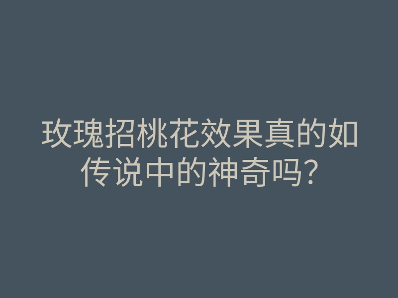 玫瑰招桃花效果真的如传说中的神奇吗?