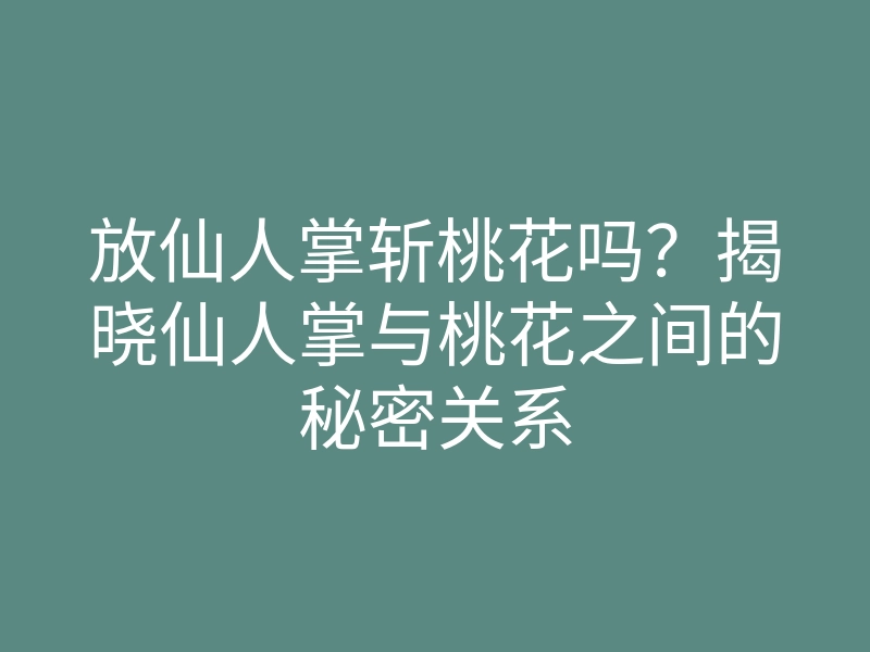 放仙人掌斩桃花吗?揭晓仙人掌与桃花之间的秘密关系