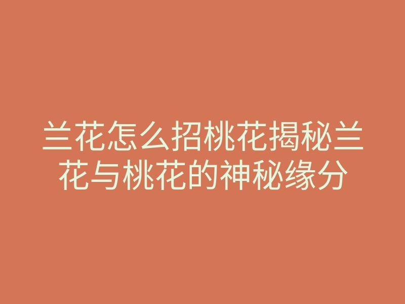 兰花怎么招桃花揭秘兰花与桃花的神秘缘分