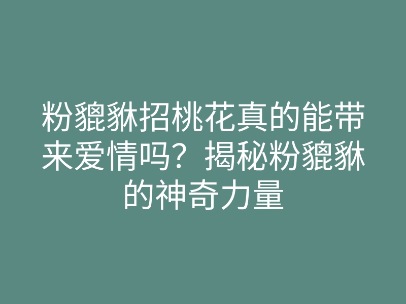 粉貔貅招桃花真的能带来爱情吗?揭秘粉貔貅的神奇力量