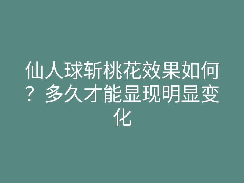 仙人球斩桃花效果如何?多久才能显现明显变化
