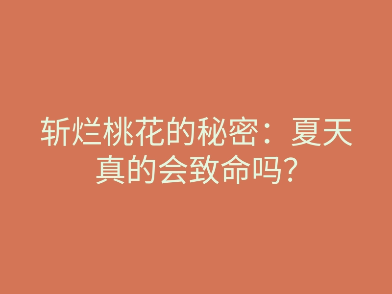 斩烂桃花的秘密:夏天真的会致命吗?