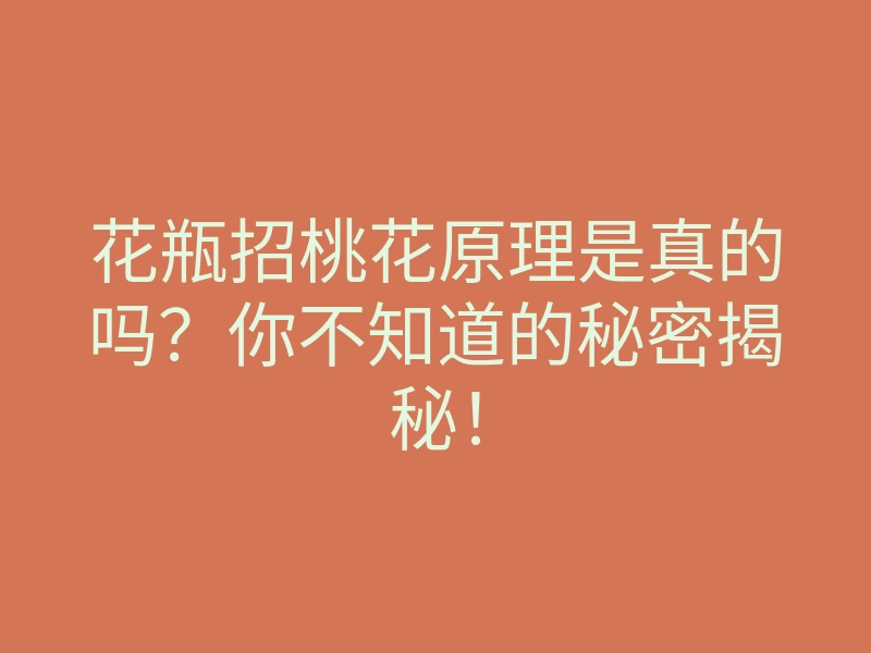 花瓶招桃花原理是真的吗?你不知道的秘密揭秘!