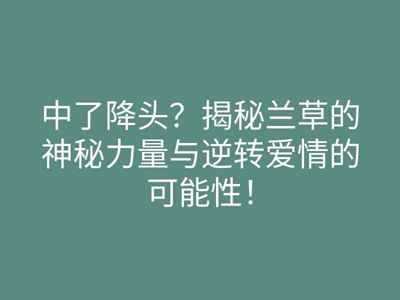中了降头？揭秘兰草的神秘力量与逆转爱情的可能性！