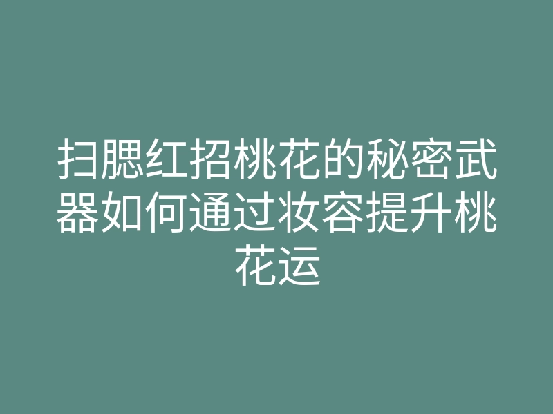 扫腮红招桃花的秘密武器如何通过妆容提升桃花运