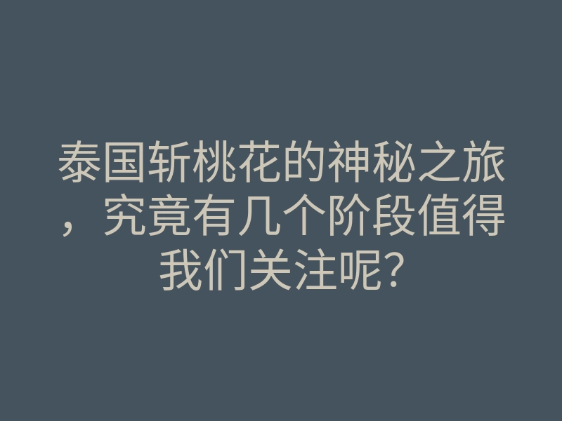 泰国斩桃花的神秘之旅,究竟有几个阶段值得我们关注呢?