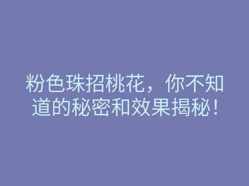 粉色珠招桃花，你不知道的秘密和效果揭秘！