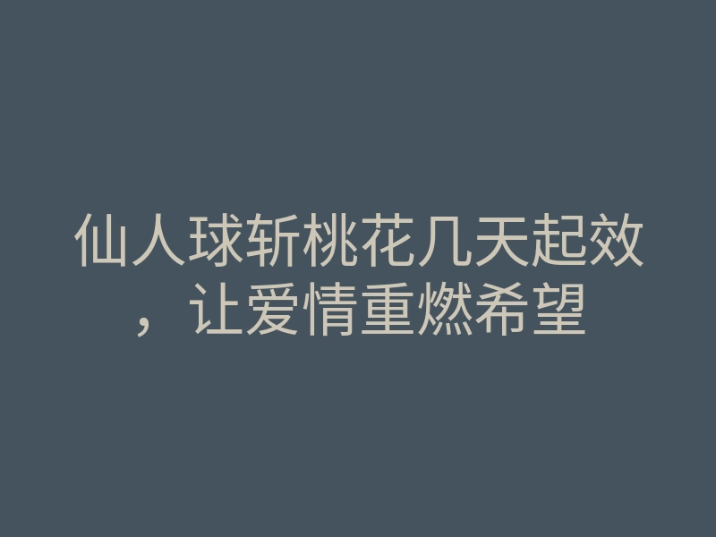 仙人球斩桃花几天起效,让爱情重燃希望