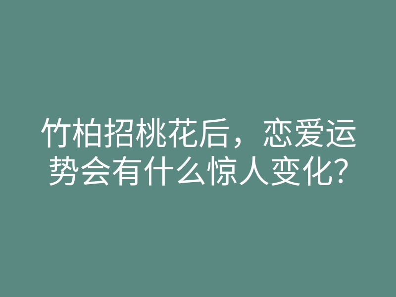 竹柏招桃花后,恋爱运势会有什么惊人变化?