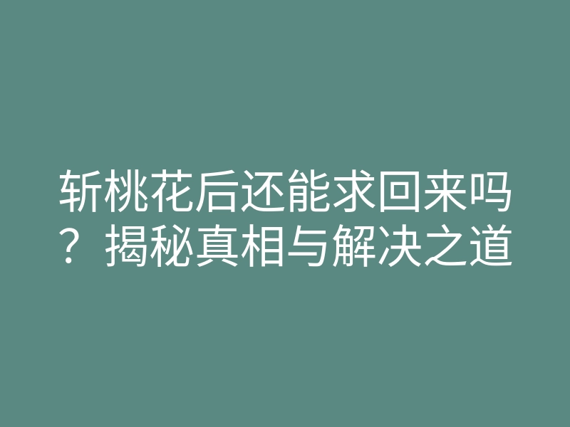 斩桃花后还能求回来吗？揭秘真相与解决之道
