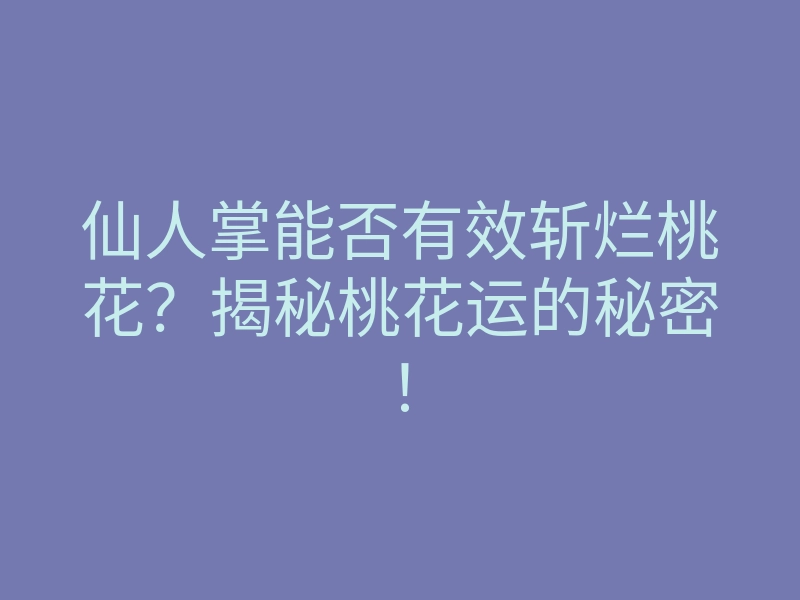 仙人掌能否有效斩烂桃花？揭秘桃花运的秘密！