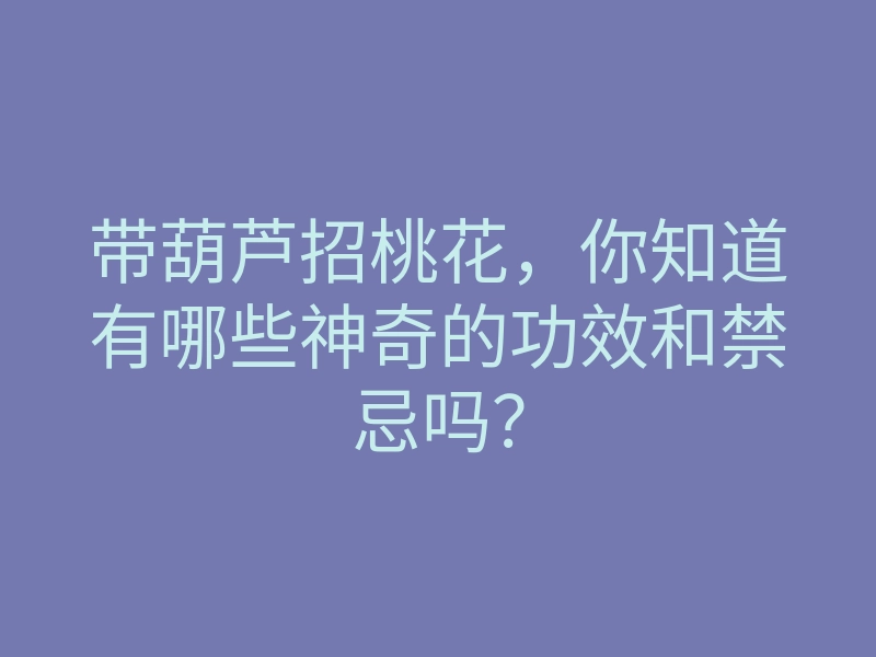 带葫芦招桃花,你知道有哪些神奇的功效和禁忌吗?