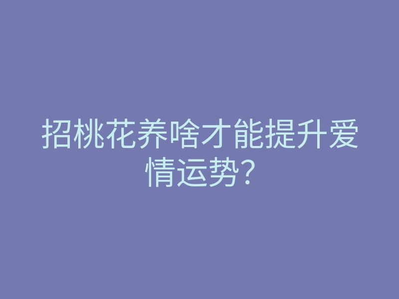 招桃花养啥才能提升爱情运势？