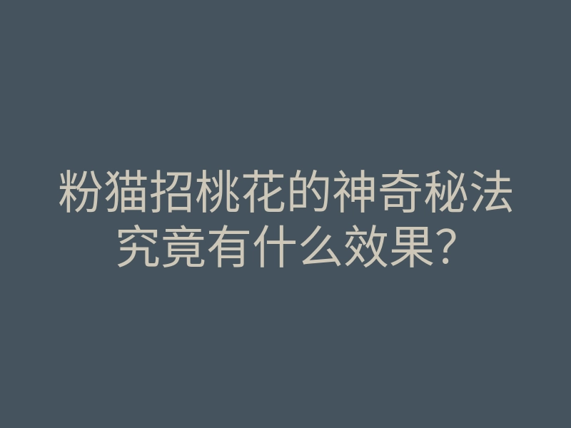 粉猫招桃花的神奇秘法究竟有什么效果?