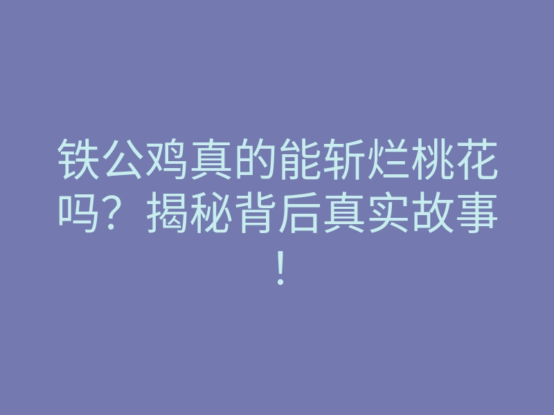 铁公鸡真的能斩烂桃花吗?揭秘背后真实故事!