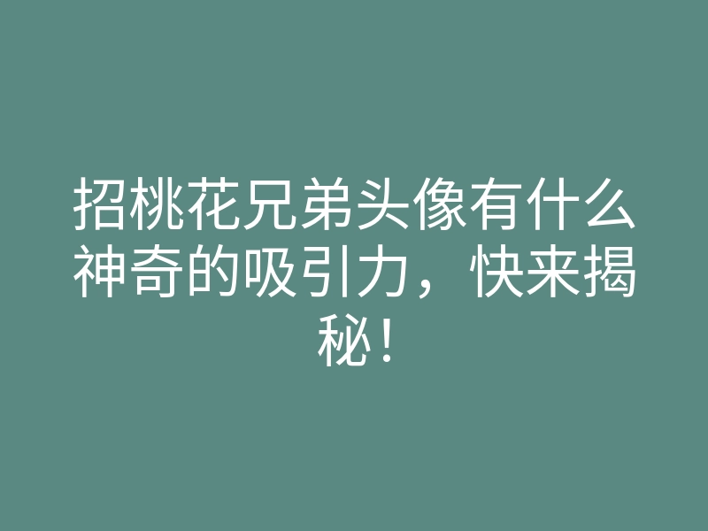 招桃花兄弟头像有什么神奇的吸引力,快来揭秘!