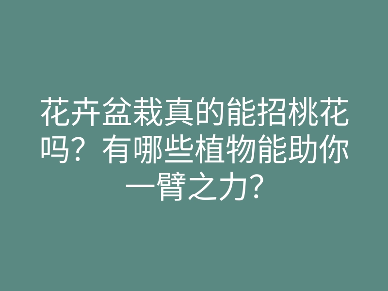 花卉盆栽真的能招桃花吗?有哪些植物能助你一臂之力?