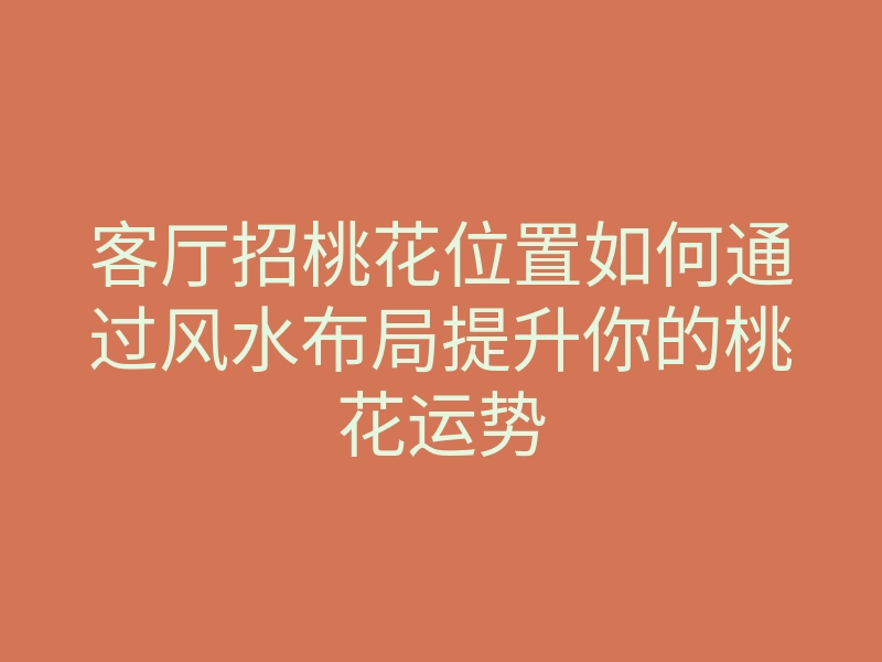 客厅招桃花位置如何通过风水布局提升你的桃花运势