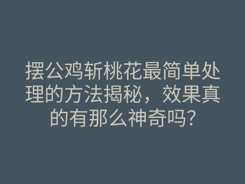 摆公鸡斩桃花最简单处理的方法揭秘，效果真的有那么神奇吗？