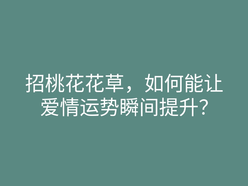 招桃花花草,如何能让爱情运势瞬间提升?