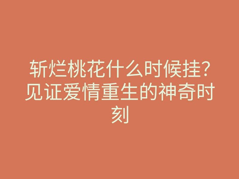 斩烂桃花什么时候挂?见证爱情重生的神奇时刻