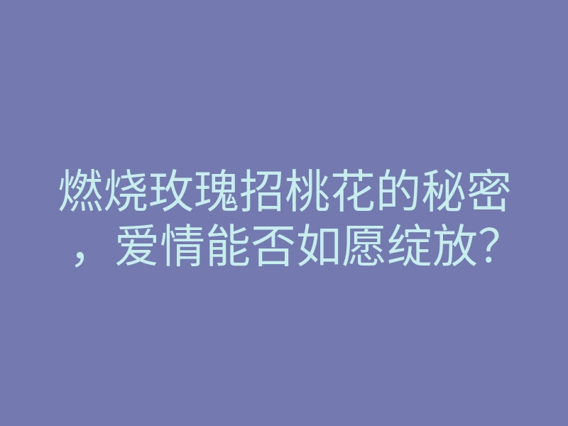 燃烧玫瑰招桃花的秘密,爱情能否如愿绽放?