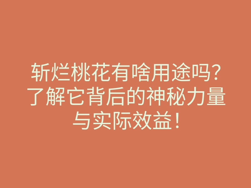 斩烂桃花有啥用途吗?了解它背后的神秘力量与实际效益!