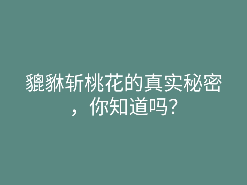 貔貅斩桃花的真实秘密，你知道吗？