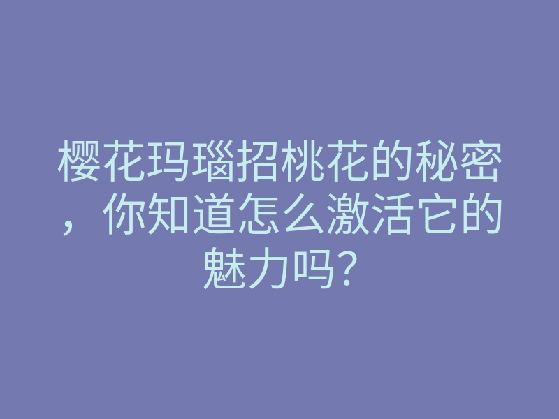 樱花玛瑙招桃花的秘密,你知道怎么激活它的魅力吗?