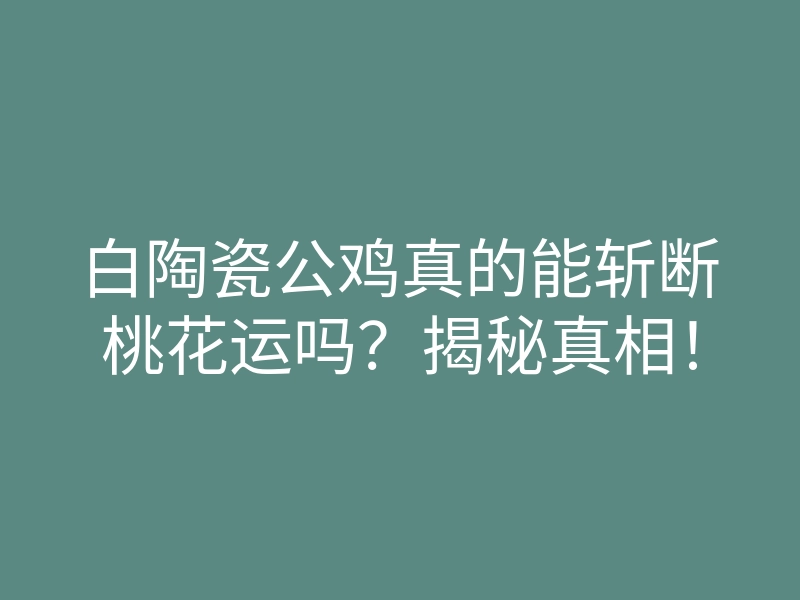白陶瓷公鸡真的能斩断桃花运吗?揭秘真相!