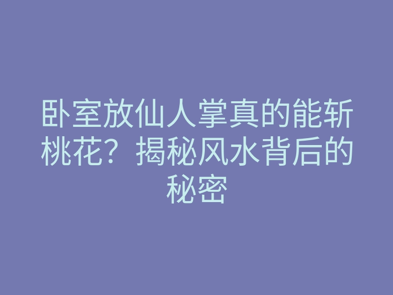 卧室放仙人掌真的能斩桃花?揭秘风水背后的秘密