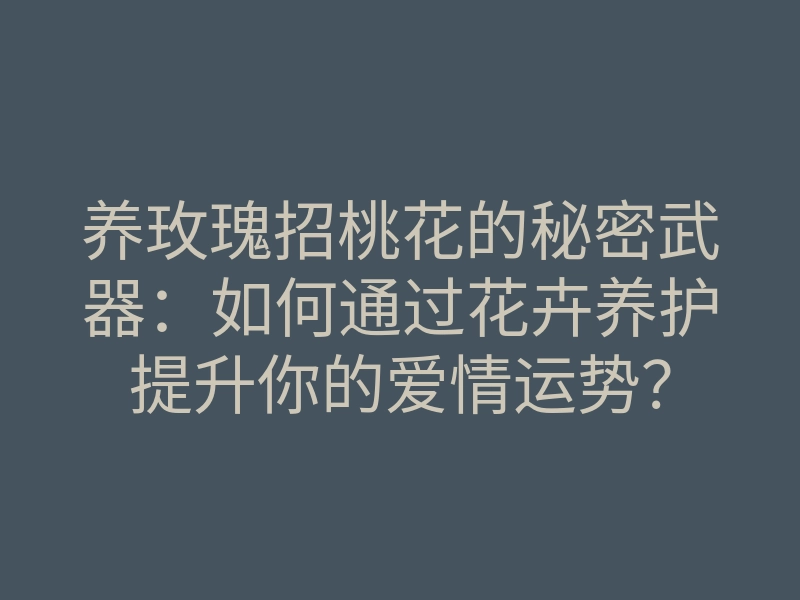 养玫瑰招桃花的秘密武器：如何通过花卉养护提升你的爱情运势？