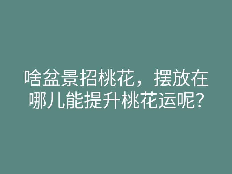 啥盆景招桃花,摆放在哪儿能提升桃花运呢?