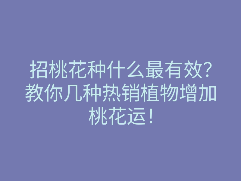招桃花种什么最有效?教你几种热销植物增加桃花运!