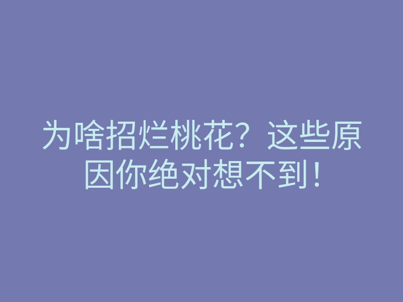 为啥招烂桃花?这些原因你绝对想不到!