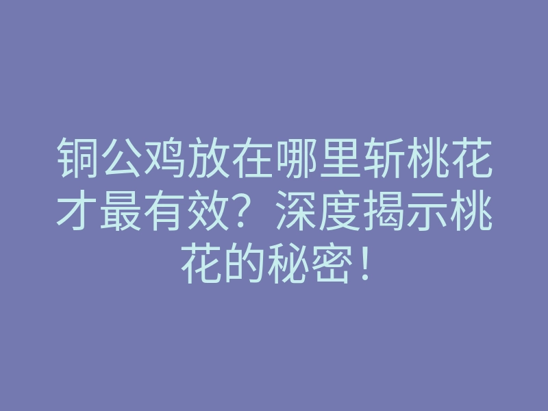 铜公鸡放在哪里斩桃花才最有效?深度揭示桃花的秘密!