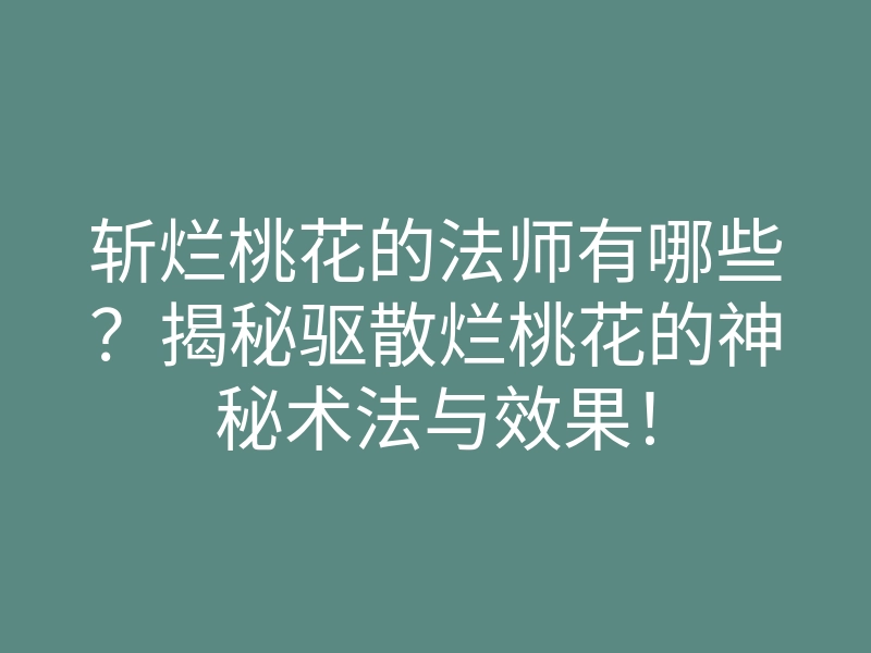 斩烂桃花的法师有哪些?揭秘驱散烂桃花的神秘术法与效果!