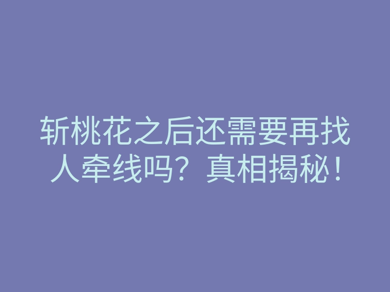 斩桃花之后还需要再找人牵线吗?真相揭秘!